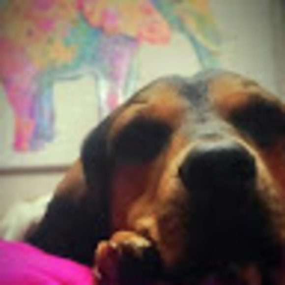 Meet your Posher, Jessica - Picture 1 of 1